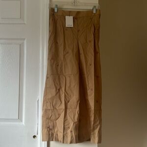 Pakistani/Indian Sapphire pants